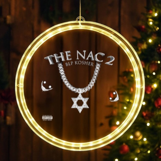 Discover BLP Kosher - The Nac 2 LED Christmas Window Lights