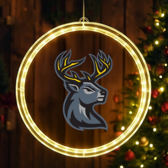 Discover Iowa Heartlanders LED Christmas Window Lights