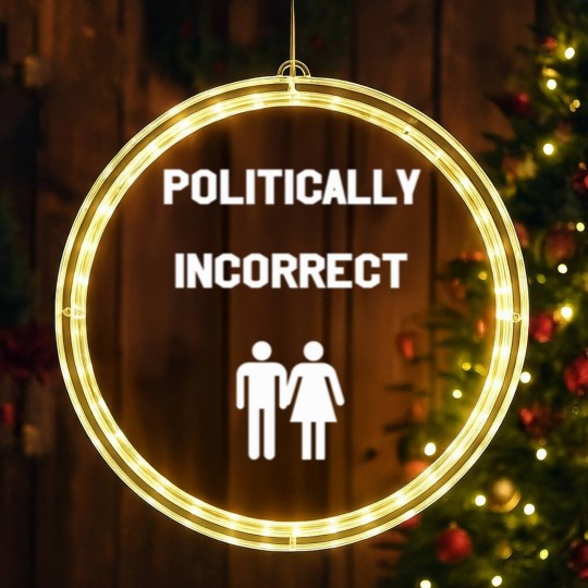 Discover political incorrect hetero couple gift idea LED Christmas Window Lights