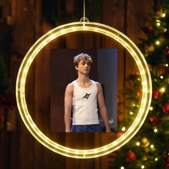 Discover Troye Sivan Timothe Chalamet Funny Bella LED Christmas Window Lights LED Christmas Window Lights