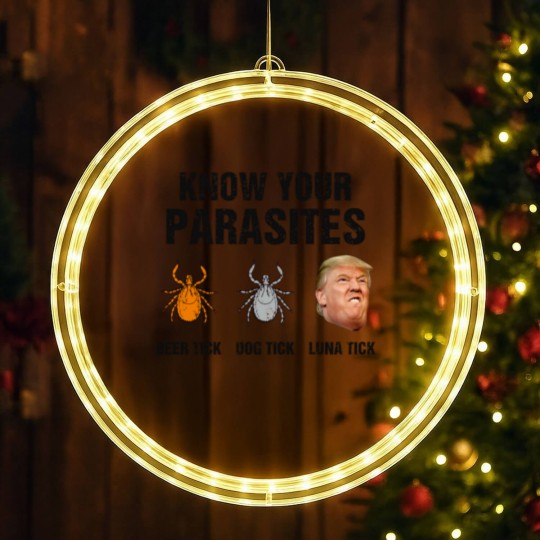 Discover Know Your Parasites Deer Tick Dog Tick Luna Tick LED Christmas Window Lights