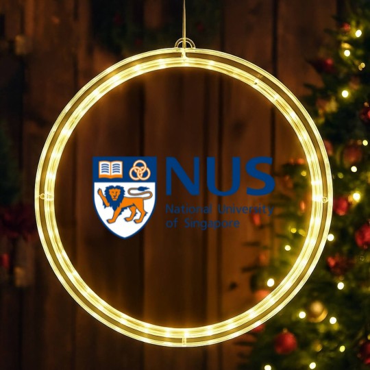 Discover national university of singapore nus LED Christmas Window Lights