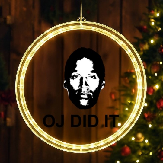 Discover OJ did it LED Christmas Window Lights