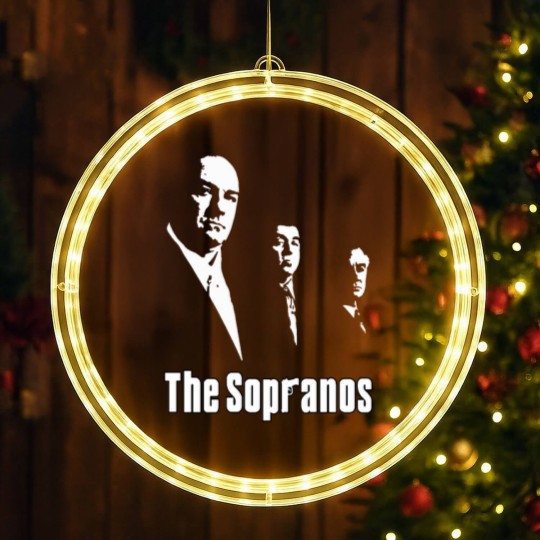 Discover tv show LED Christmas Window Lights