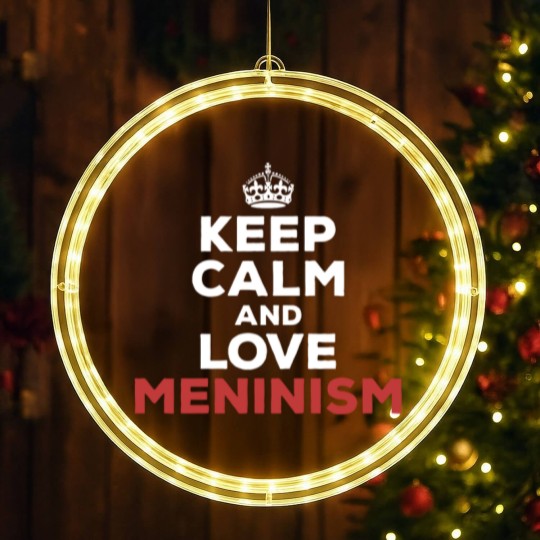 Discover Anti-Feminism LED Christmas Window Lights
