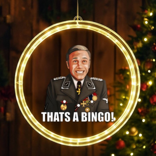 Discover Thats a BINGO LED Christmas Window Lights