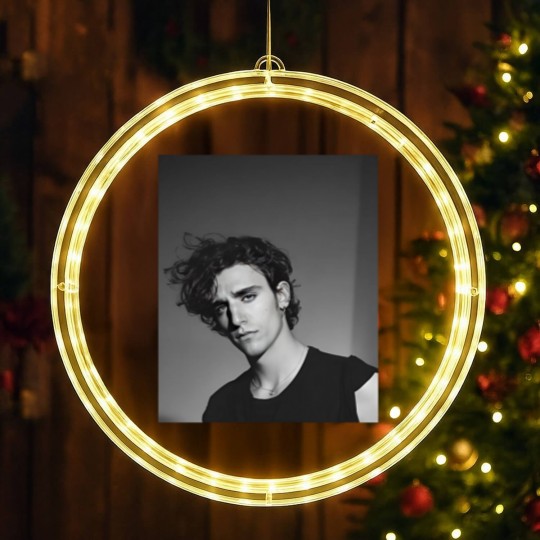Discover Tamino Amir LED Christmas Window Lights