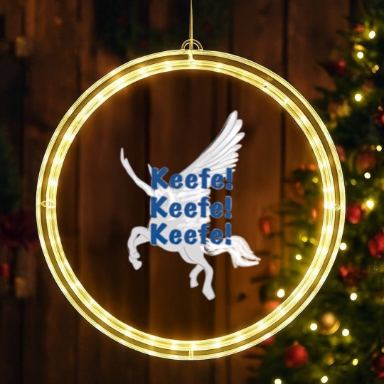 Discover Keeper of the Lost Cities gift, Keefe, Silveny, KOTLC - Keeper Of The Lost Cities - LED Christmas Window Lights