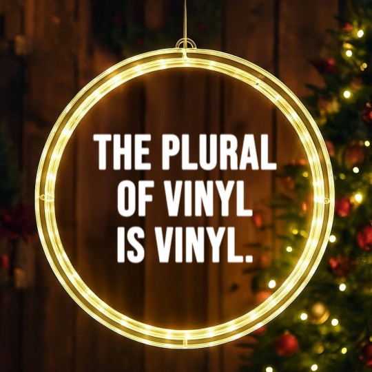 Discover The plural of vinyl is vinyl LED Christmas Window Lights