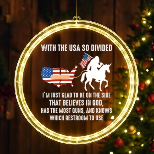 Discover with the usa so divided i'm just glad to be on the side LED Christmas Window Lights