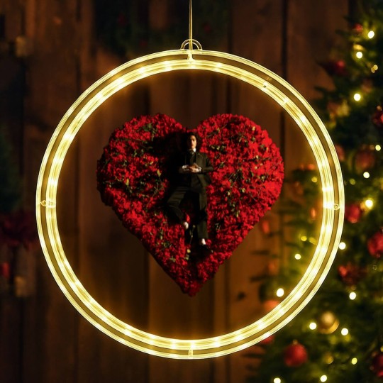 Discover Conan Gray Graphic Vintage LED Christmas Window Lights, Conan Gray with Roses Heart Aesthetic 90's LED Christmas Window Lights