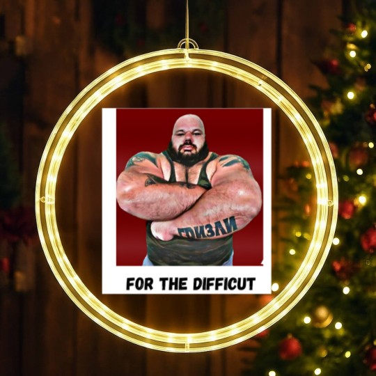 Discover Kyriakos Grizzly For the Difficult Classic LED Christmas Window Lights | Active LED Christmas Window Lights