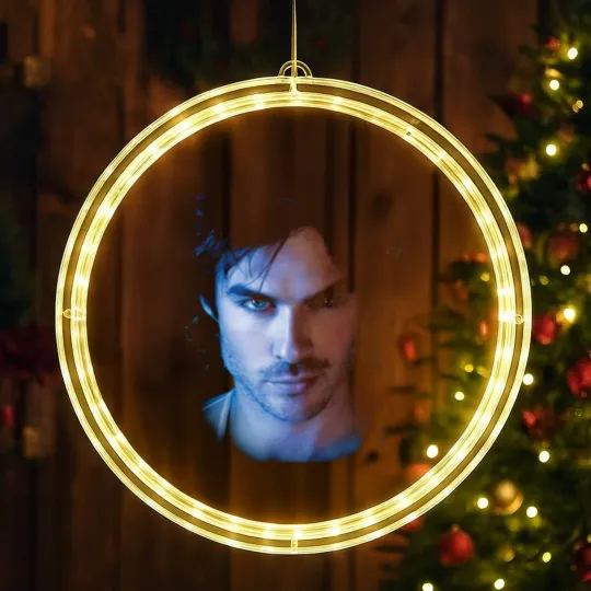 Discover The Vampire Diaries Damon birthday chirstmas LED Christmas Window Lights