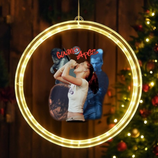 Discover Vintage 1999 Guano Apes LED Christmas Window Lights