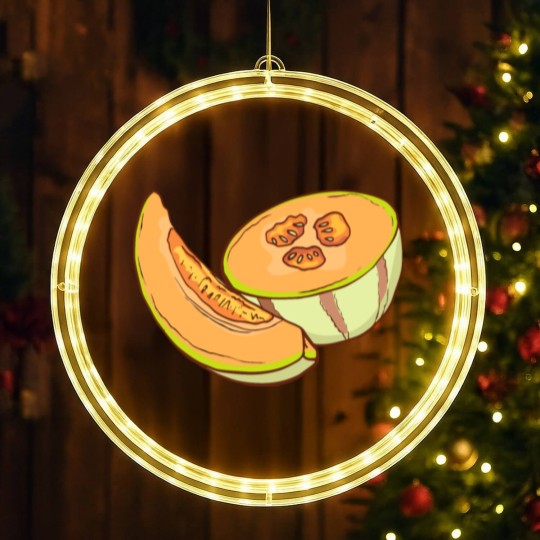 Discover Cantaloupe Melon LED Christmas Window Lights