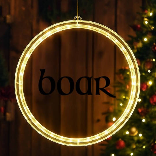 Discover Boar LED Christmas Window Lights