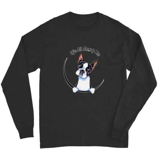 Discover Boston Long Sleeves