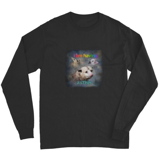 Discover I am having a crisis possum word art Classic Long Sleeves