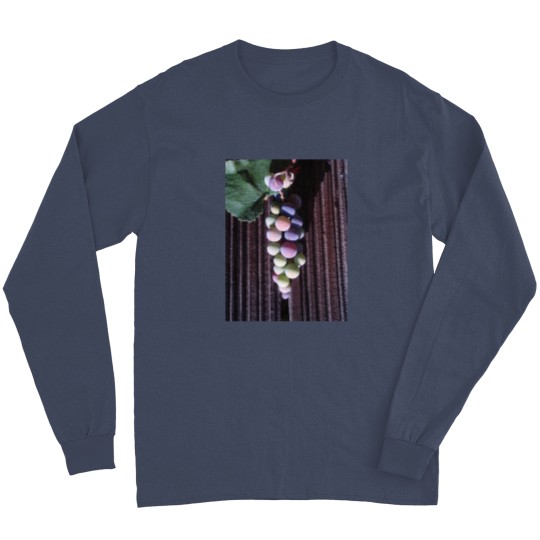 Discover Grapes Long Sleeve Shirt - Long Design
