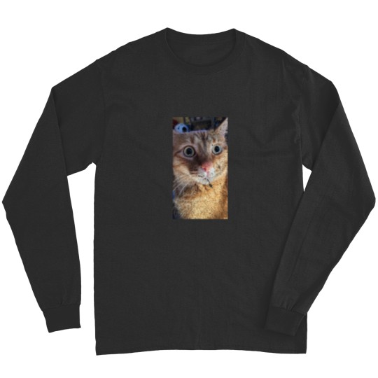 Discover What Long Sleeves
