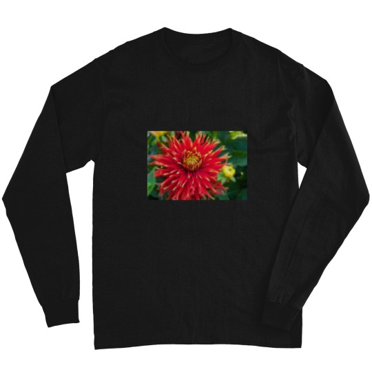 Discover Canada. Vancouver Island. Butchart Gardens. Flower. Long Sleeves