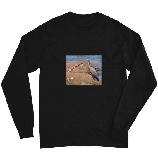 Discover heron at the beach Long Sleeves