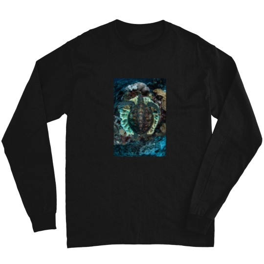 Discover Green Turtle Resting Long Sleeves