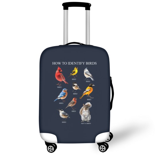 Discover Bird Luggage Covers, How to Identify Birds Luggage Covers