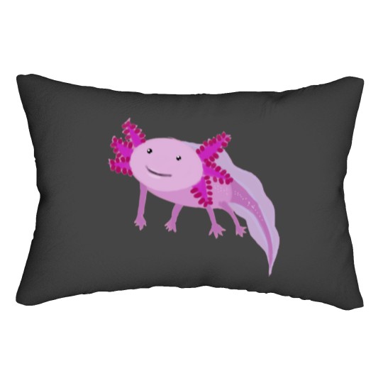 Discover Little Lumbar Pillows