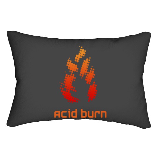 Discover Acid Burn Lumbar Pillows
