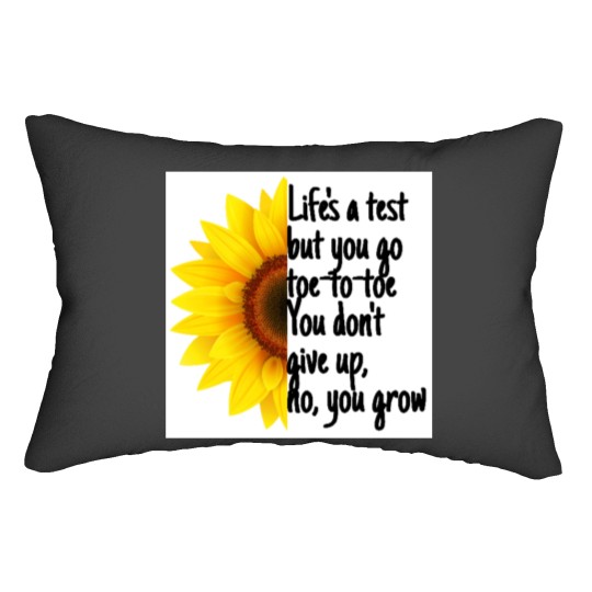 Discover Lifes a test Lumbar Pillows