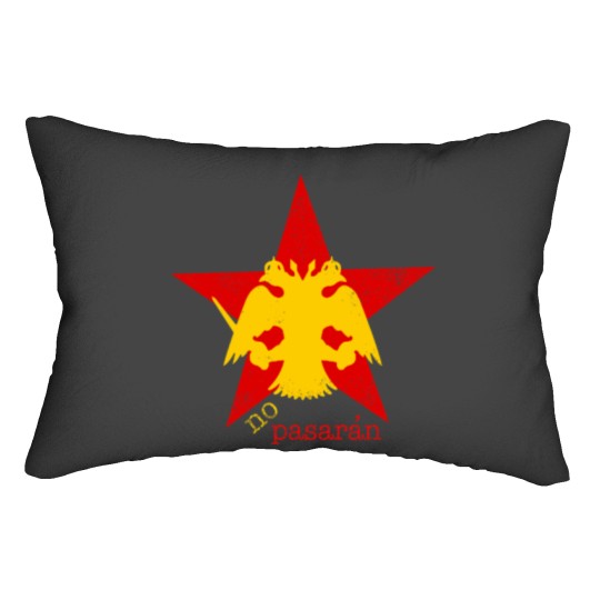 Discover AEK (2) Lumbar Pillows