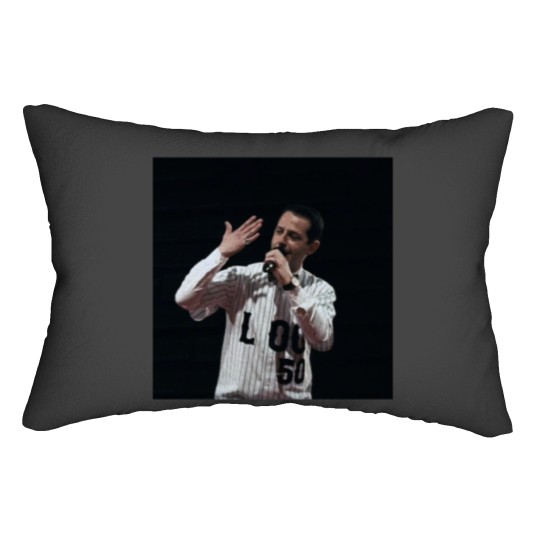 Discover Kendall Roy Lumbar Pillows