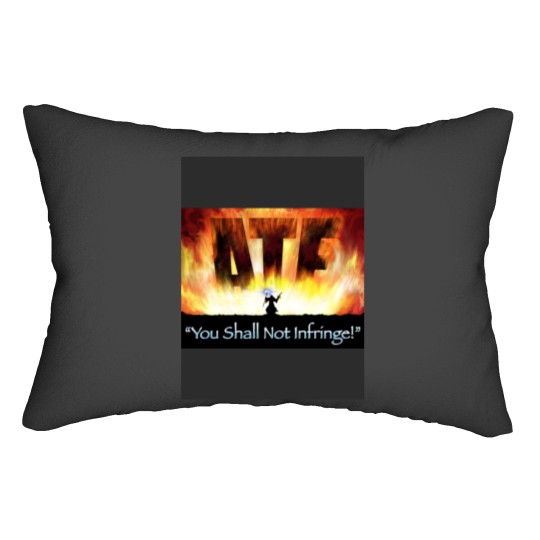 Discover 2a wizard Lumbar Pillows