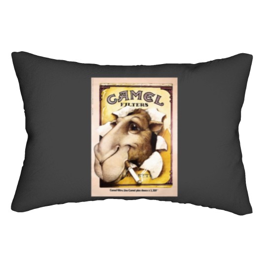 Discover Camel Filters Lumbar Pillows