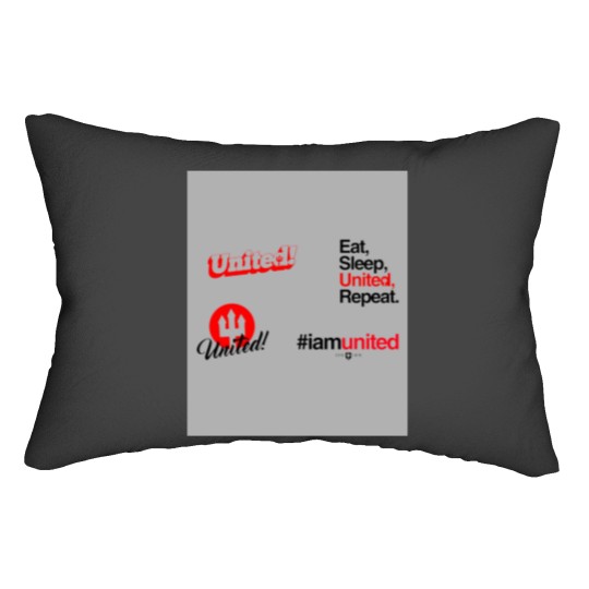 Discover United Sticker Pack Lumbar Pillows
