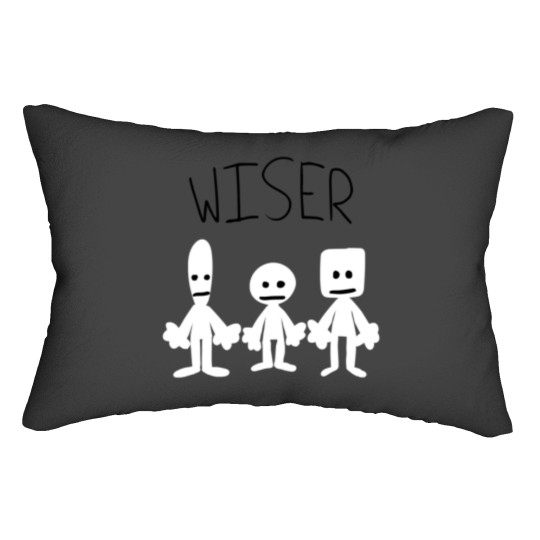 Discover Wiser Lumbar Pillows