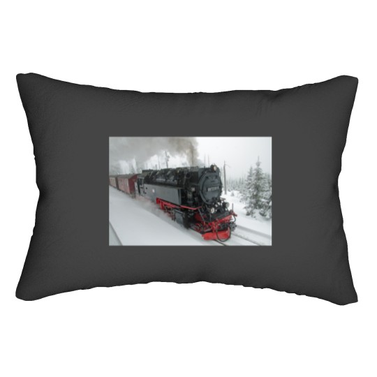 Discover Winter in the Harz Lumbar Pillows