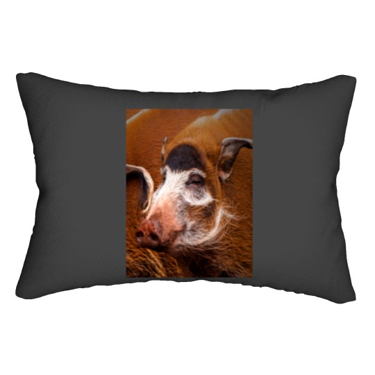 Discover Zoology - Red River Hog Lumbar Pillows