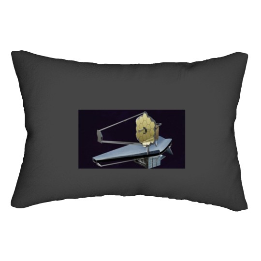 Discover James Webb Space Telescope Lumbar Pillows