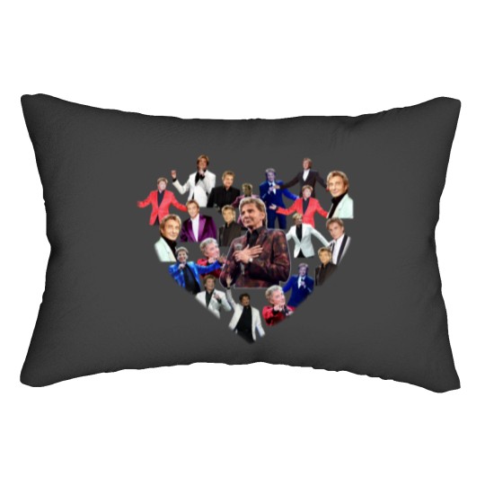 Discover Bárrý Mánílów Lumbar Pillows