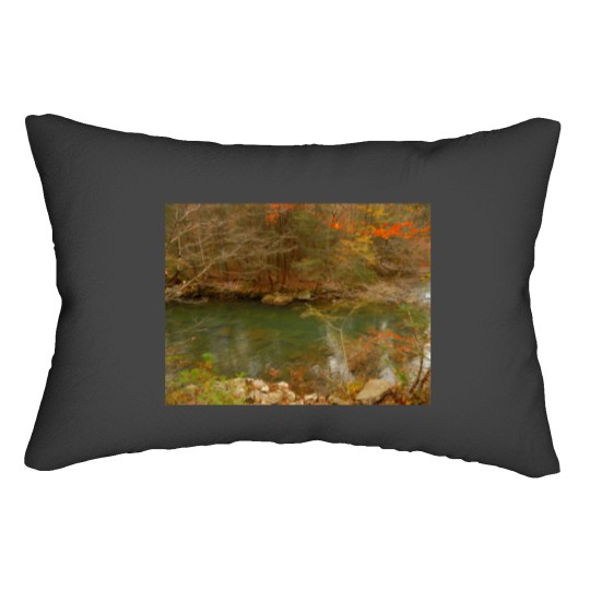 Discover Soak Creek Lumbar Pillows