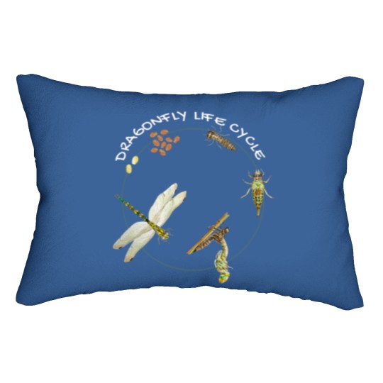 Discover Dragonfly Life Cycle Facts 3 Stages Insect Development Lumbar Pillows