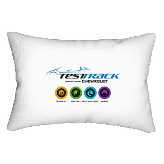 Discover Test Track 20 Lumbar Pillows