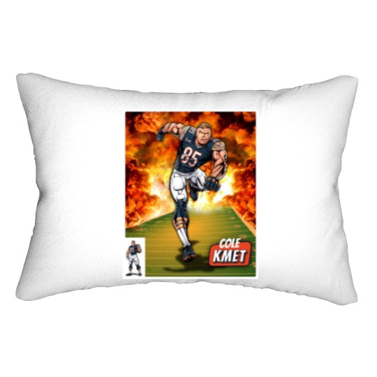 Discover COLE KMET Lumbar Pillows