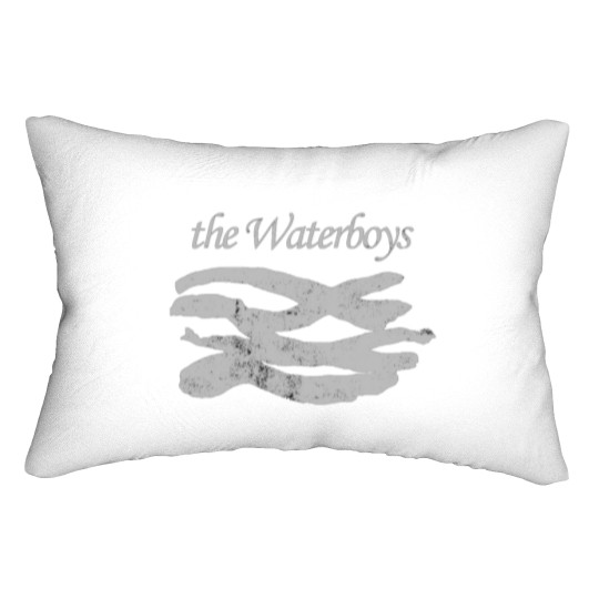 Discover The Waterboys Lumbar Pillows
