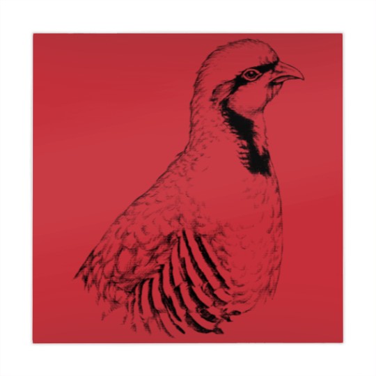 Discover Chukar partridge animal portrait (bright products) Mahjong Mats