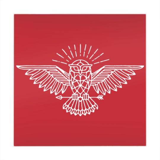 Discover All Knowing Owl Mahjong Mats