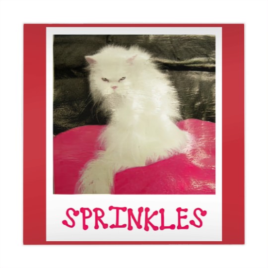 Discover Sprinkles the Cat - The Office - Mahjong Mats