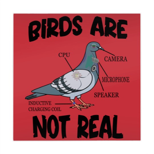Discover Birds Are Not Real Bird Spies Conspiracy Theory Birds Mahjong Mats